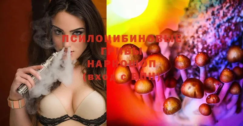 mega ССЫЛКА  Балашов  Галлюциногенные грибы MAGIC MUSHROOMS 